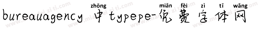 bureauagency 中typepe字体转换